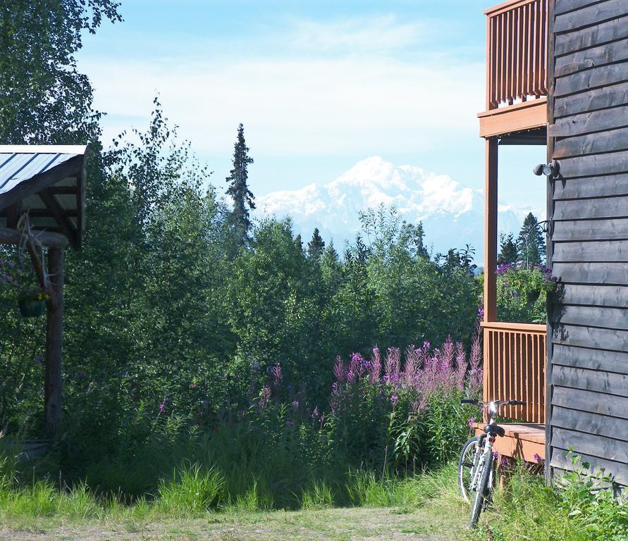 Grace And Bill'S Freedom Hills B&B Talkeetna Exteriör bild