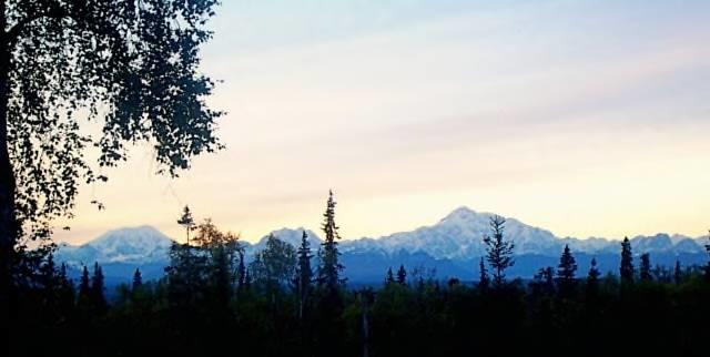 Grace And Bill'S Freedom Hills B&B Talkeetna Exteriör bild