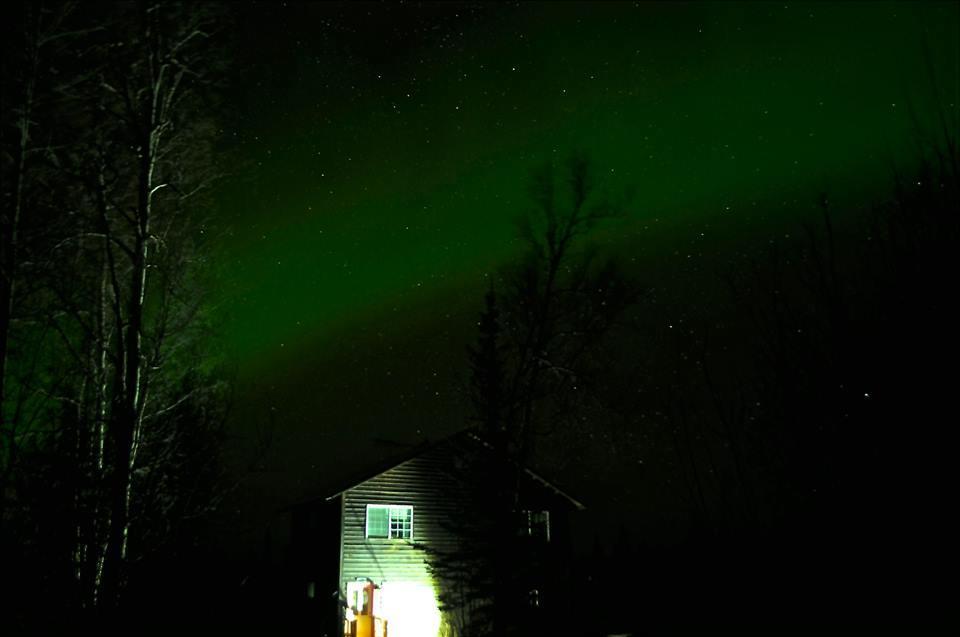 Grace And Bill'S Freedom Hills B&B Talkeetna Exteriör bild