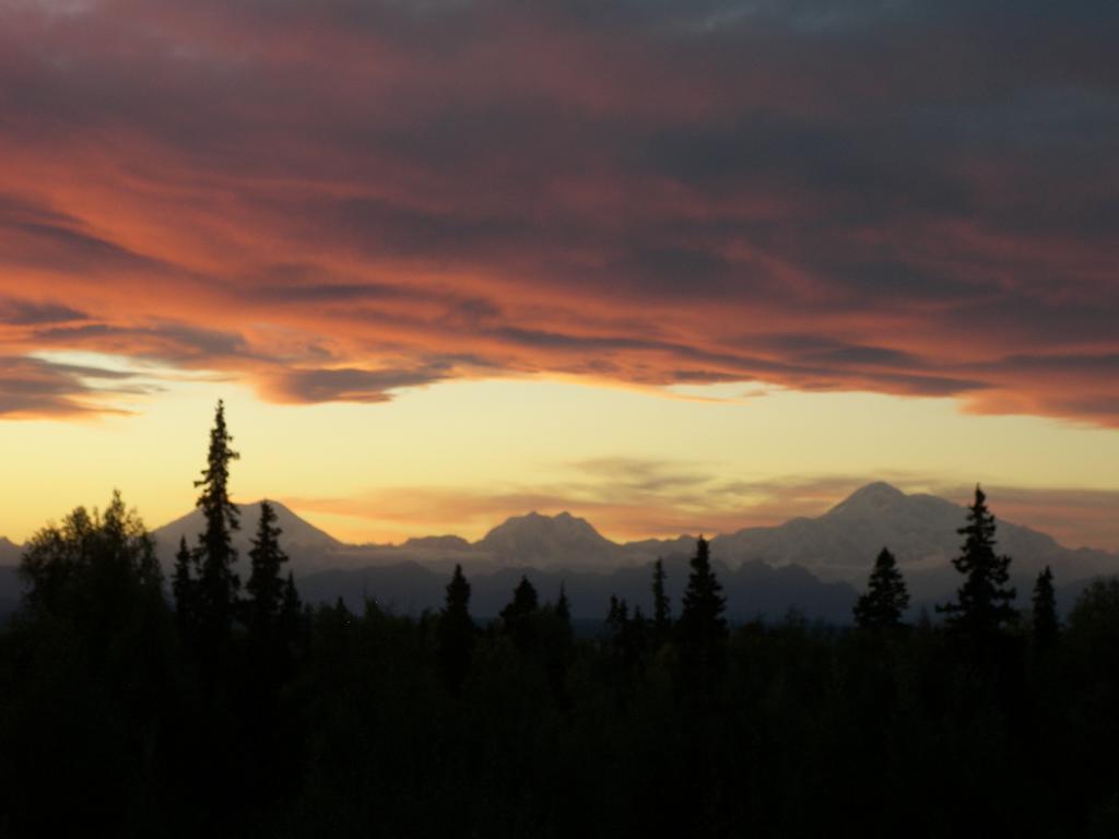 Grace And Bill'S Freedom Hills B&B Talkeetna Exteriör bild