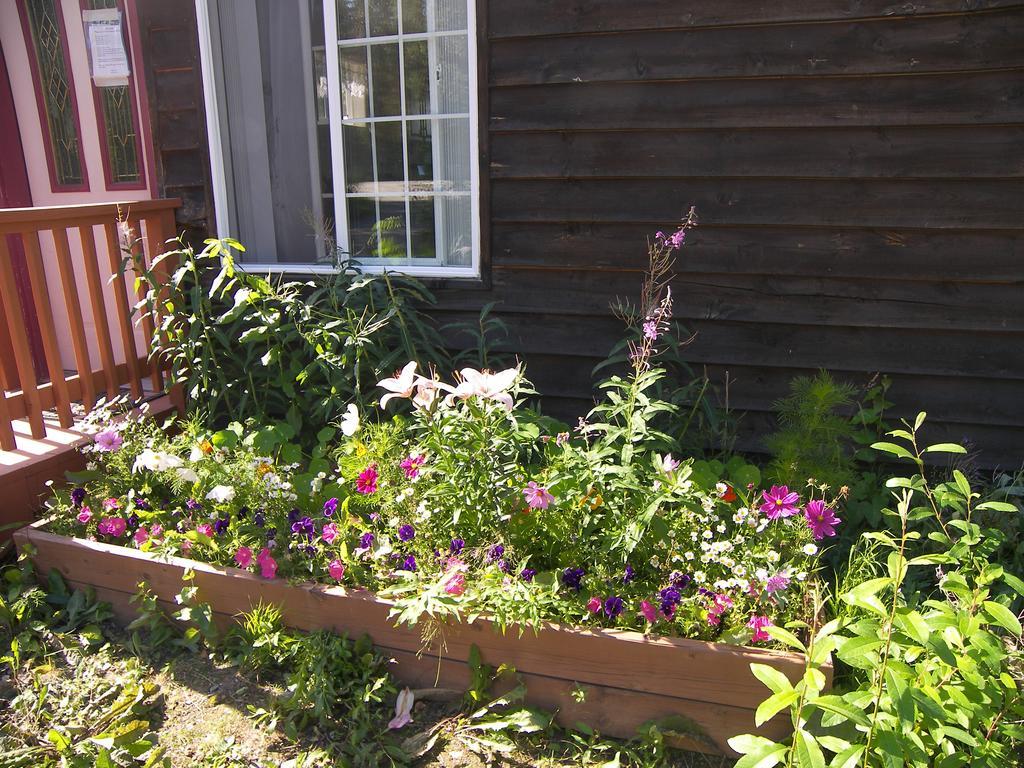 Grace And Bill'S Freedom Hills B&B Talkeetna Exteriör bild
