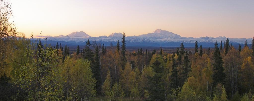 Grace And Bill'S Freedom Hills B&B Talkeetna Exteriör bild
