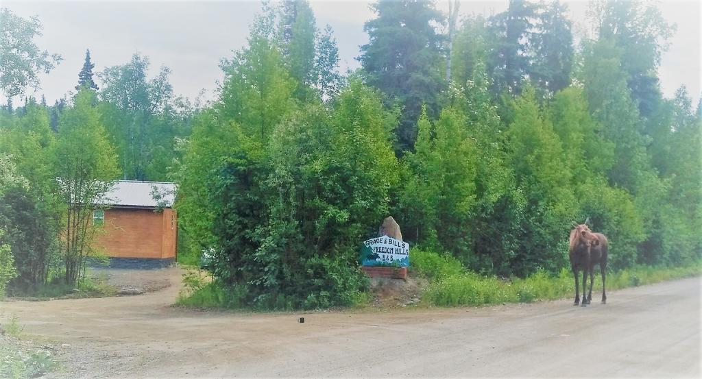 Grace And Bill'S Freedom Hills B&B Talkeetna Exteriör bild